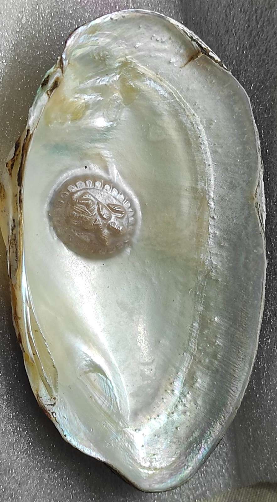 Cultured Pearl with Divine Motif 11mm White – Nucleus-Based