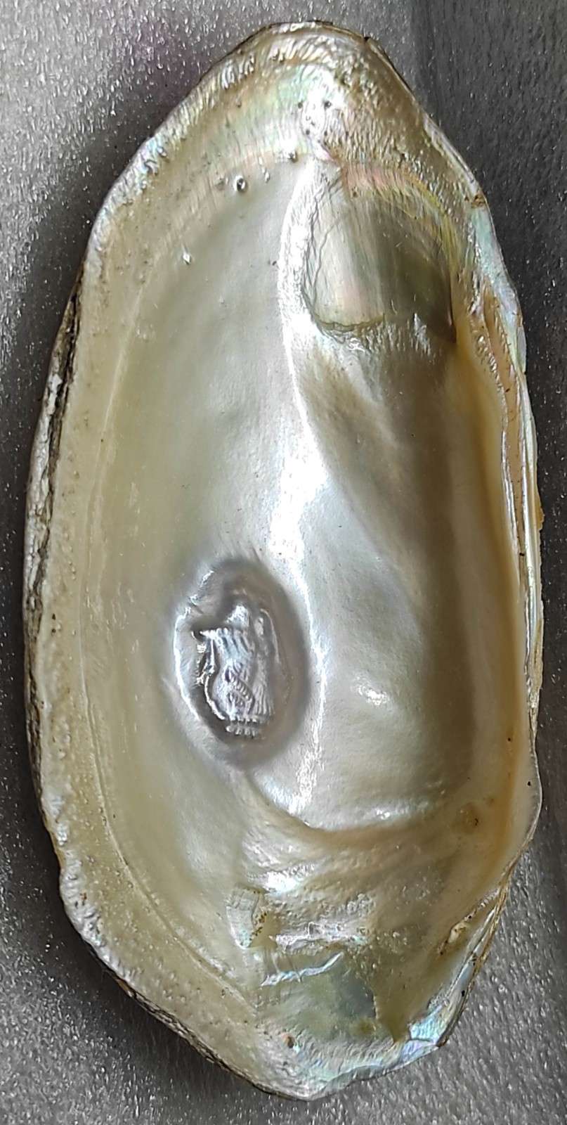 Cultured Pearl 11mm White Divine Face – Nucleus-Grown