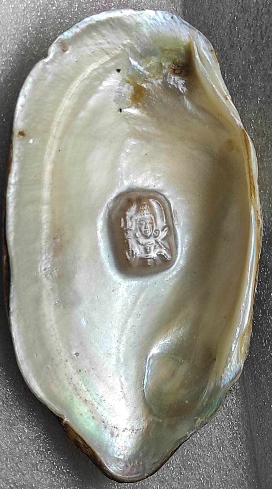 Cultured Pearl with Divine Face 11mm White – Nucleus Grown