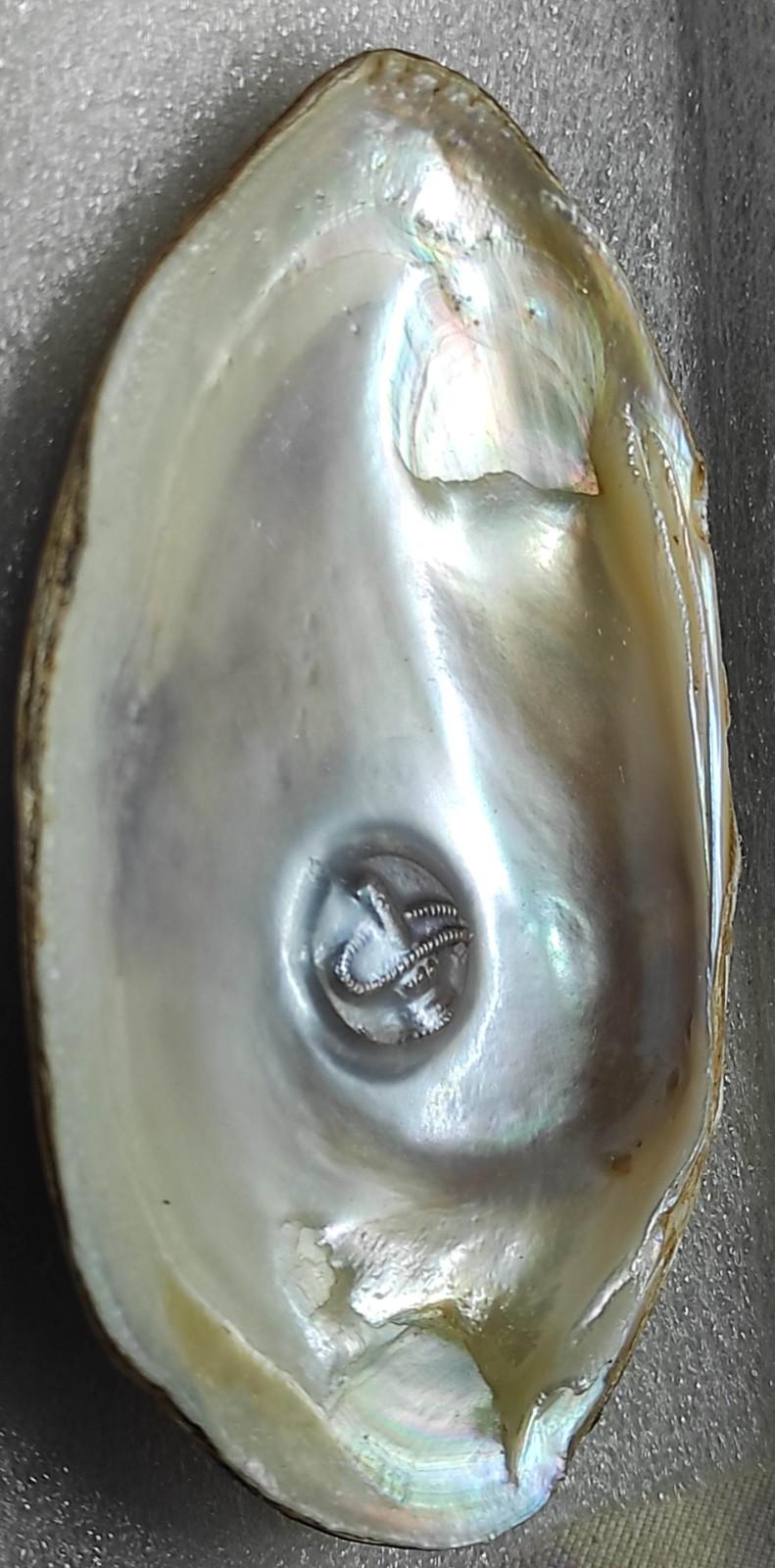 Cultured Pearl with 11mm White Sacred Face – Nucleus-Grown