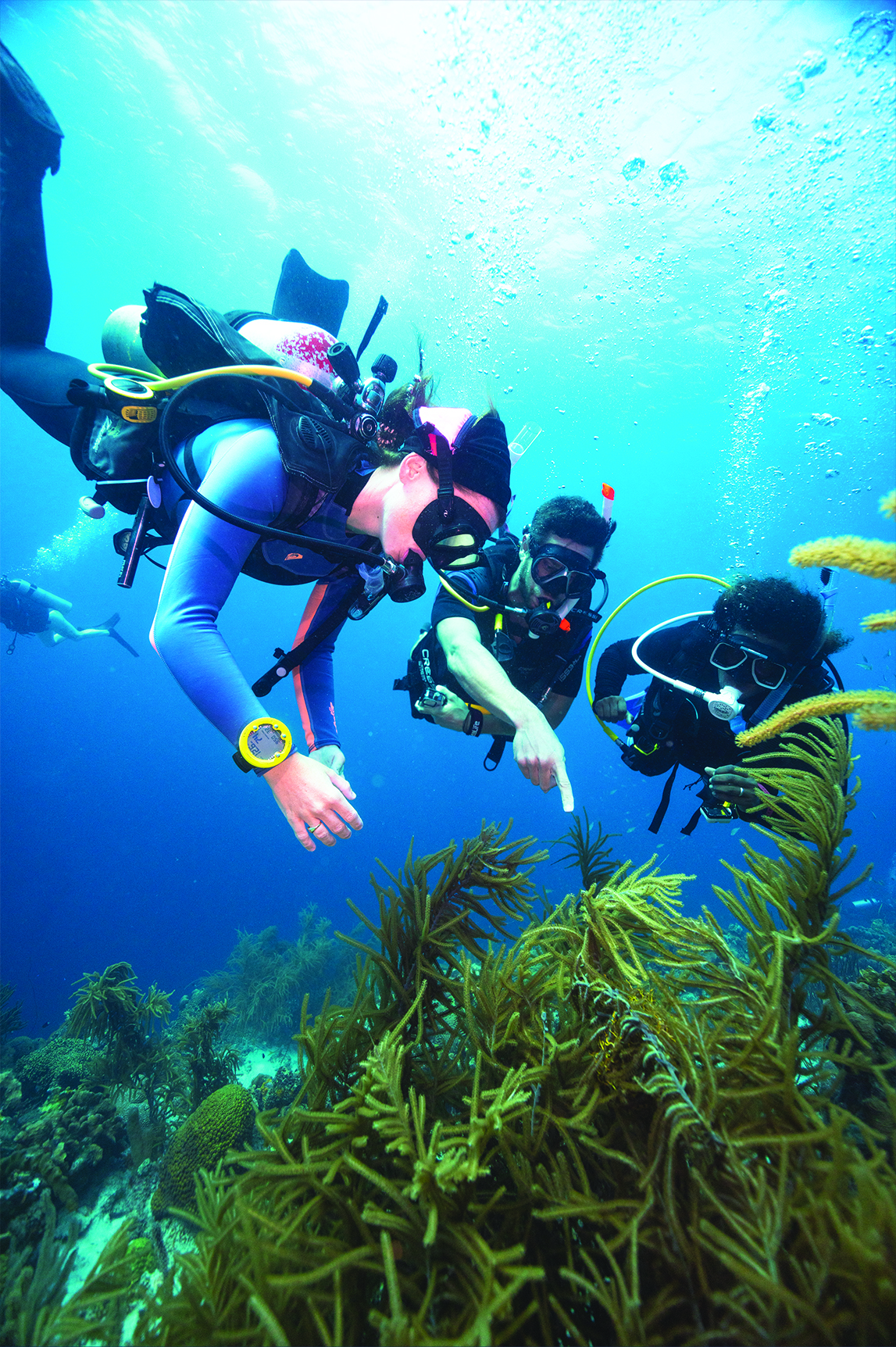 PADI Advanced Open Water Class