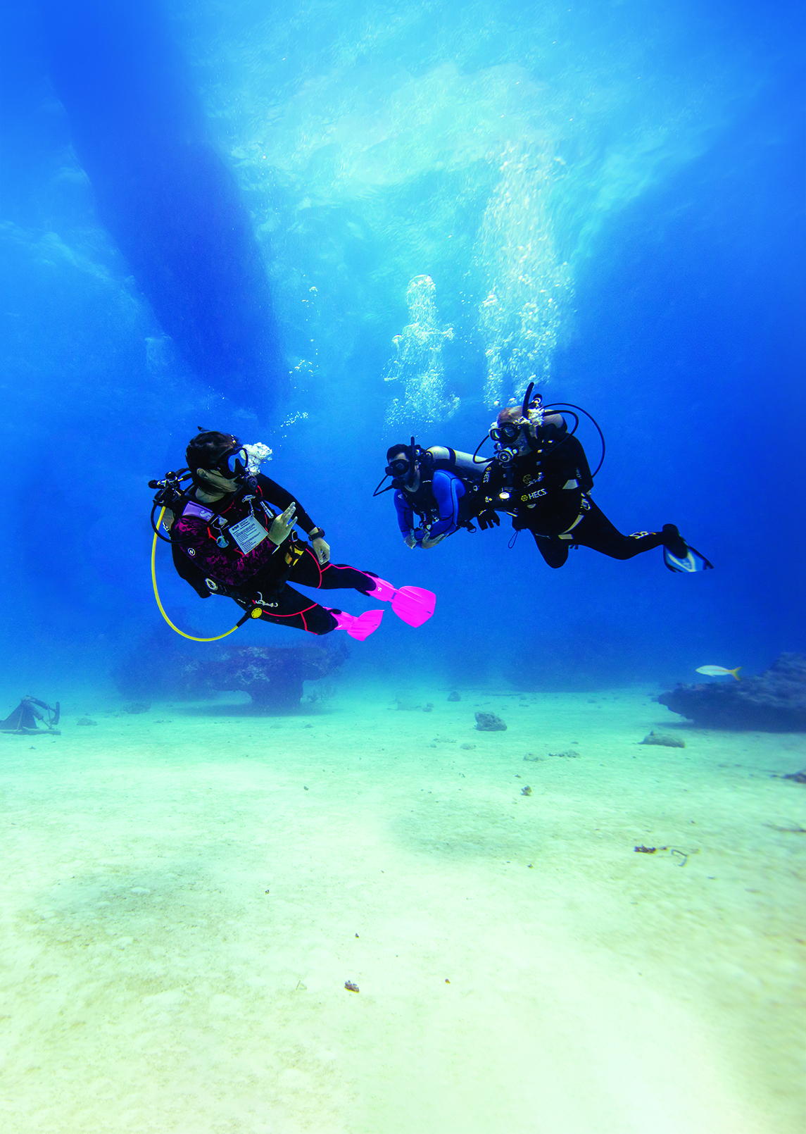 PADI Divemaster Course