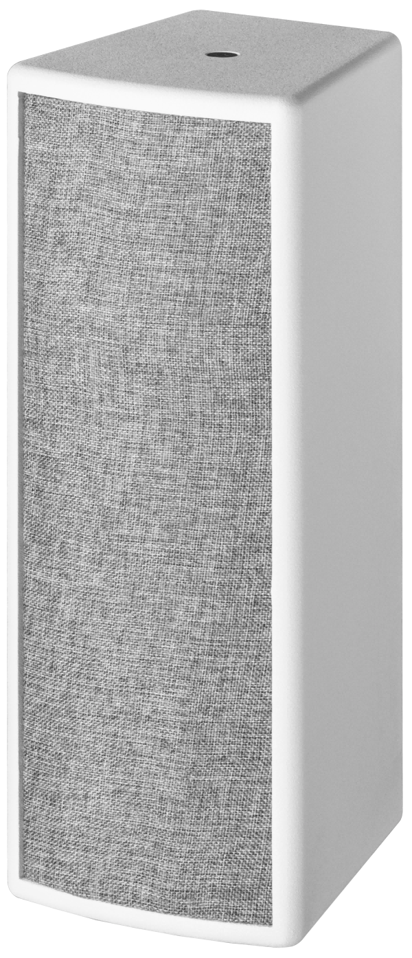 MT55 Series Conference Column Speakers