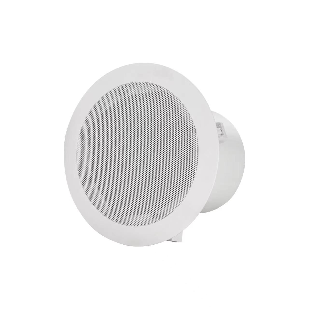 BS5.25 Series Ceiling Speaker