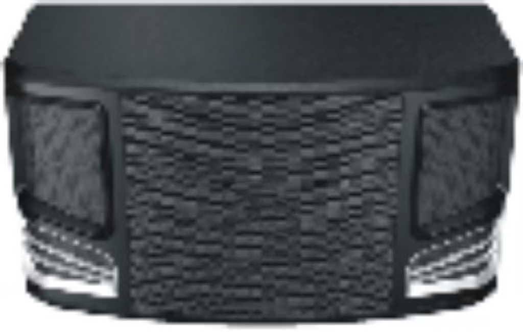 FP-310R Home Karaoke Speakers