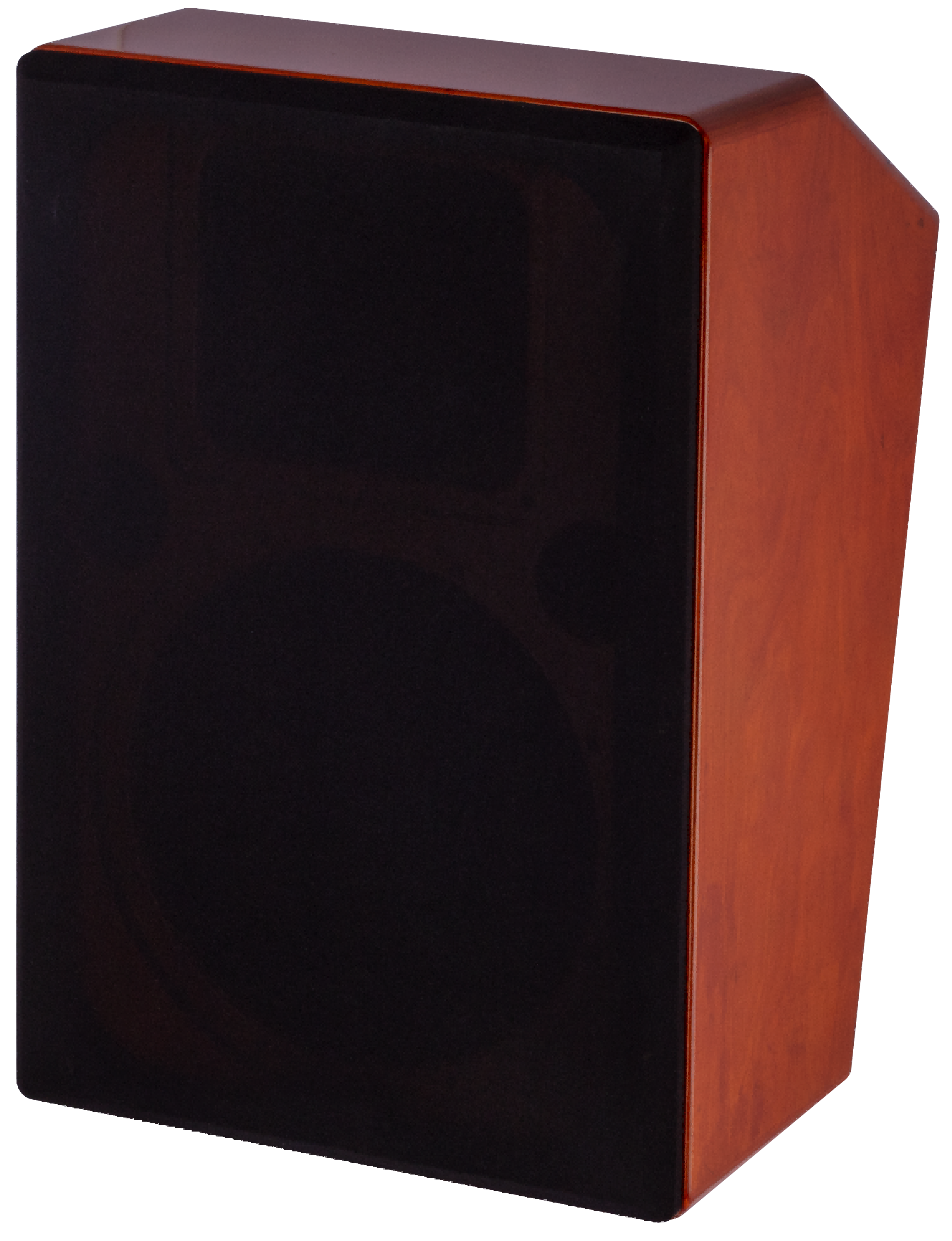 CT8 Series Home Theater Speakers