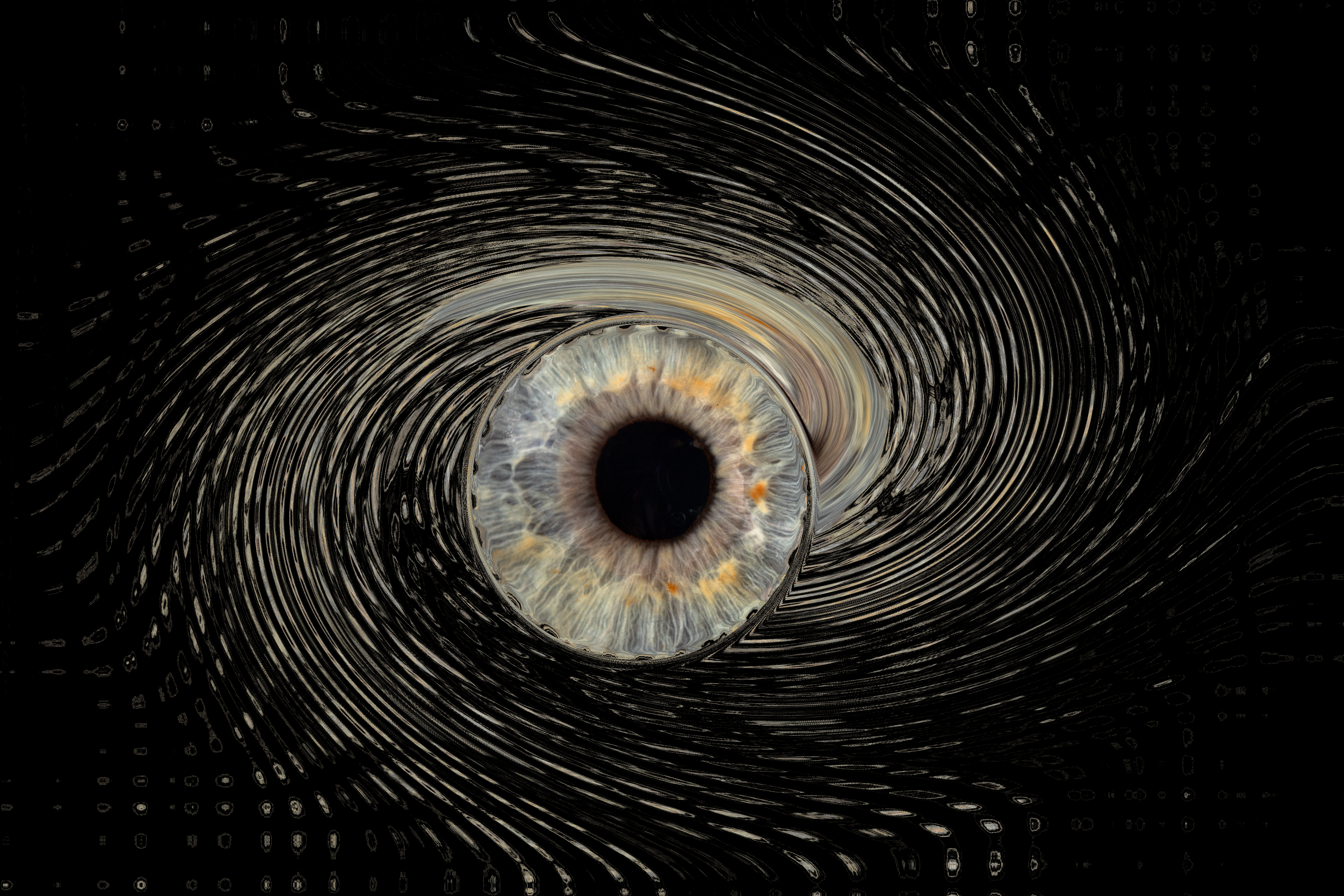Votre Iris