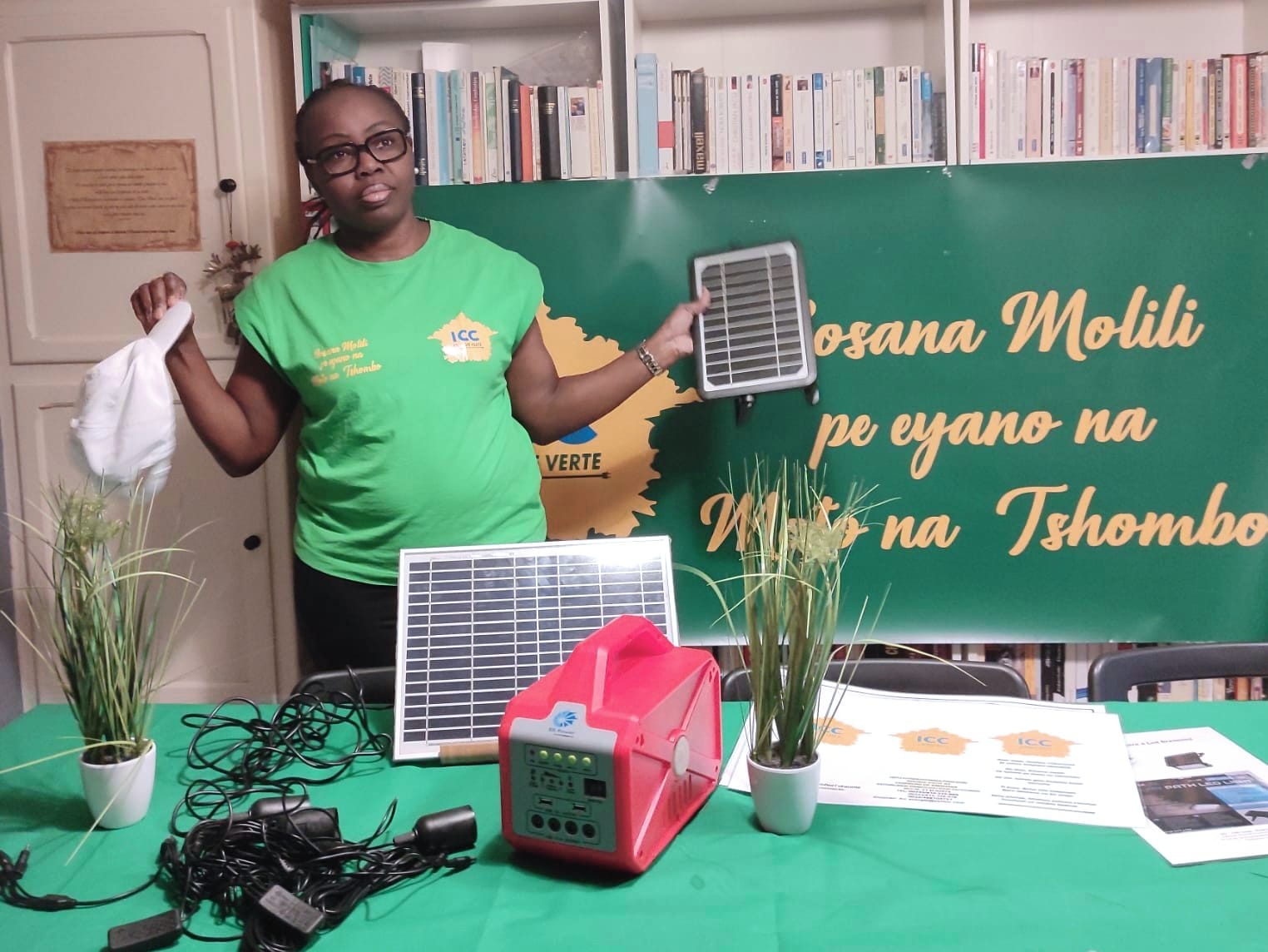 Portable Solar Power System