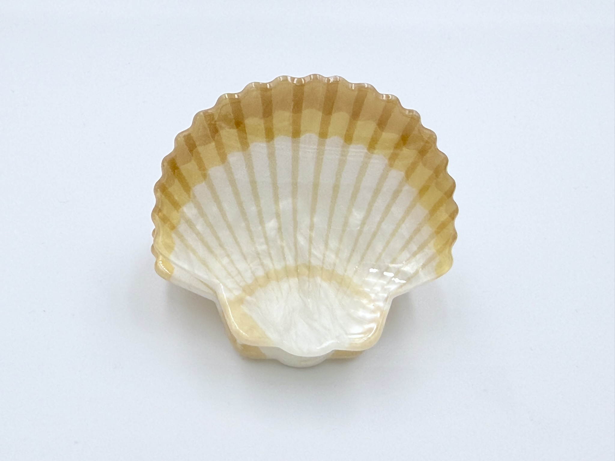Pinzas de pelo