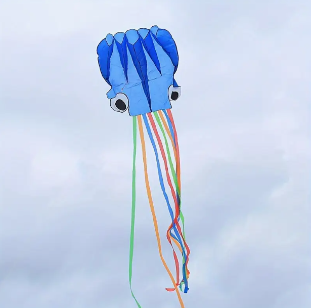 COMETA PLAYA