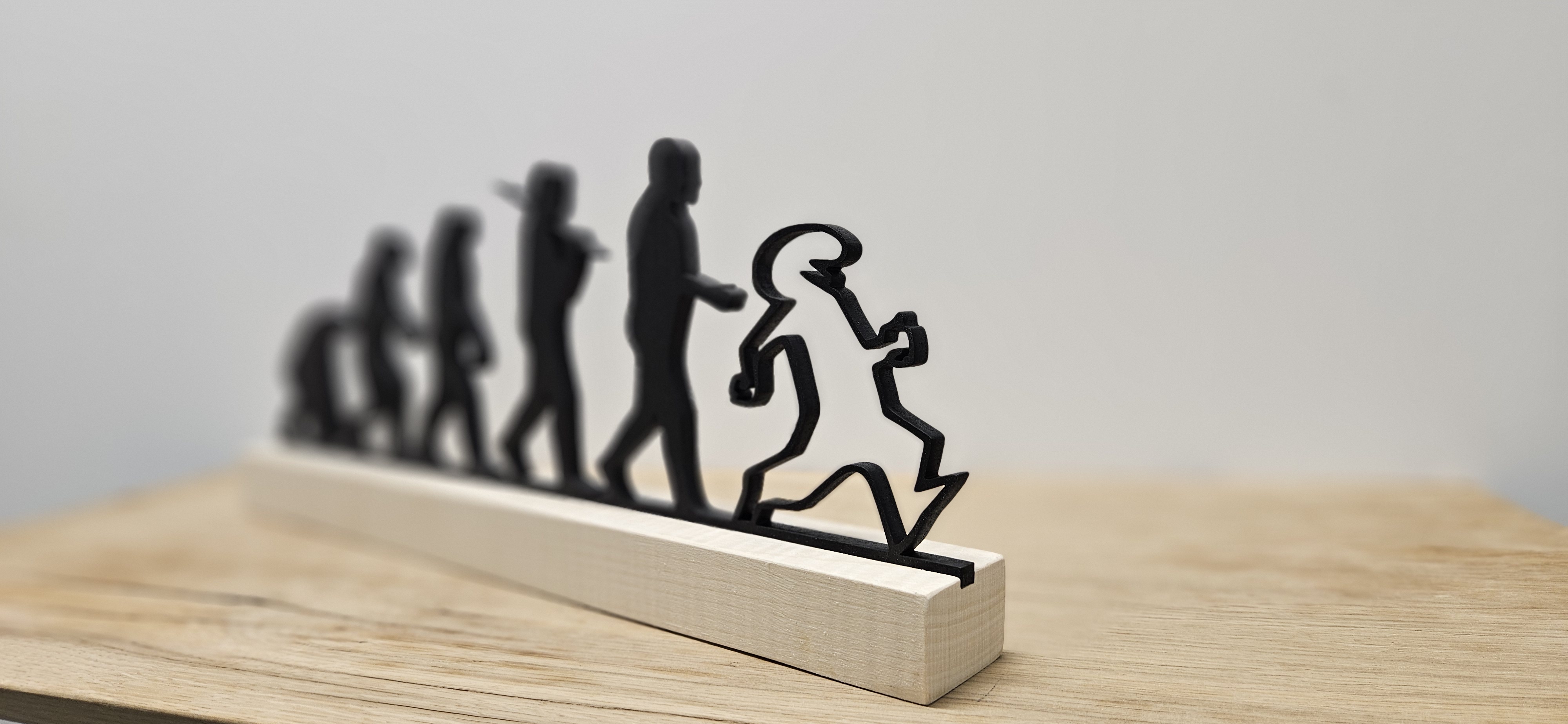 La Linéa Evolution