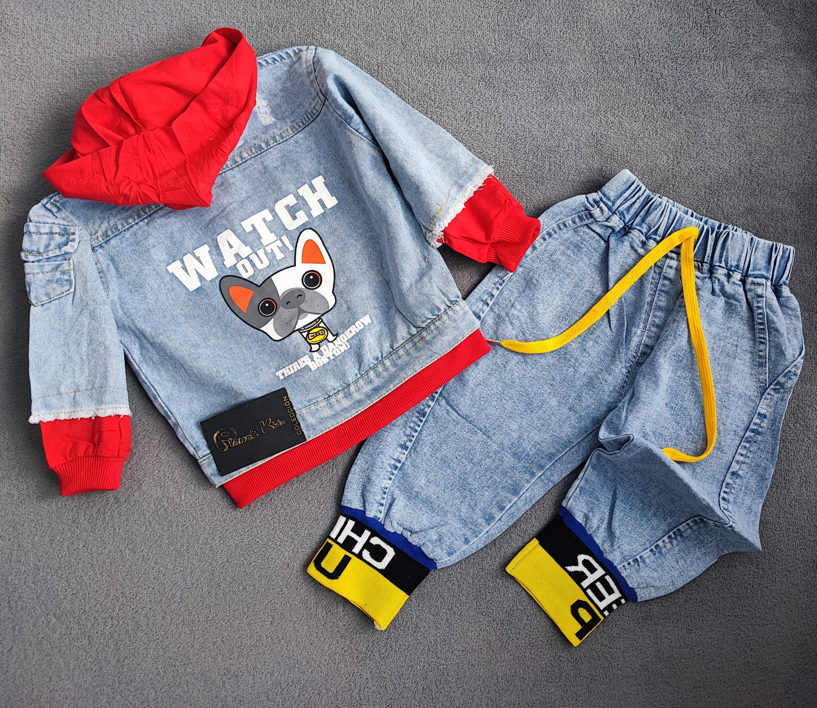 Conjunto perrito para niño 