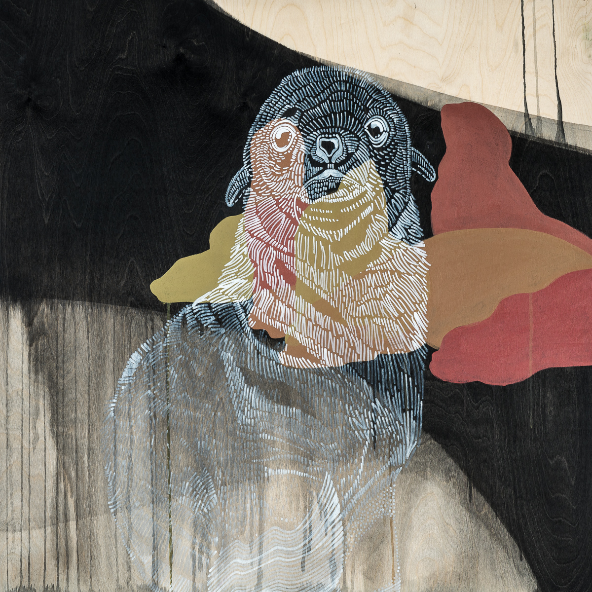 After Eden: Northern Fur Seal