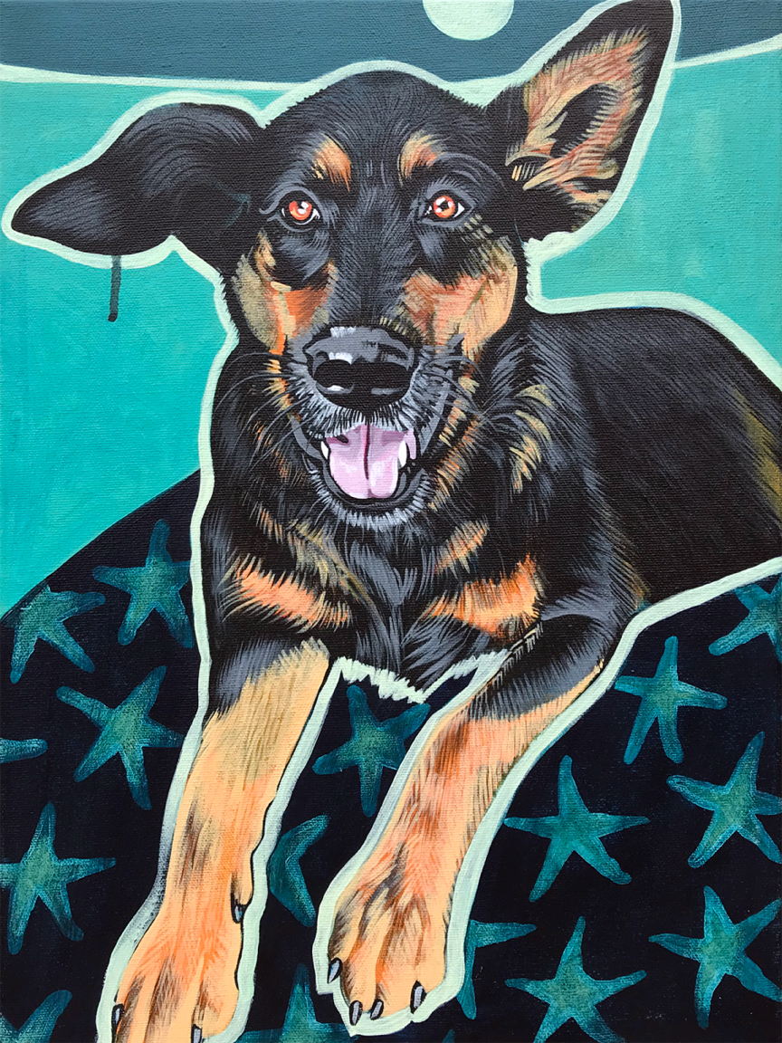 Pet Portraits
