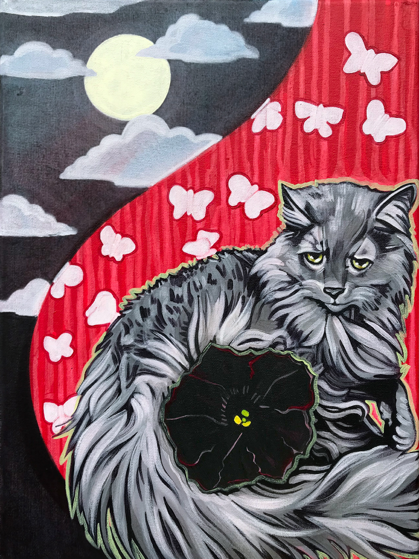 Pet Portraits