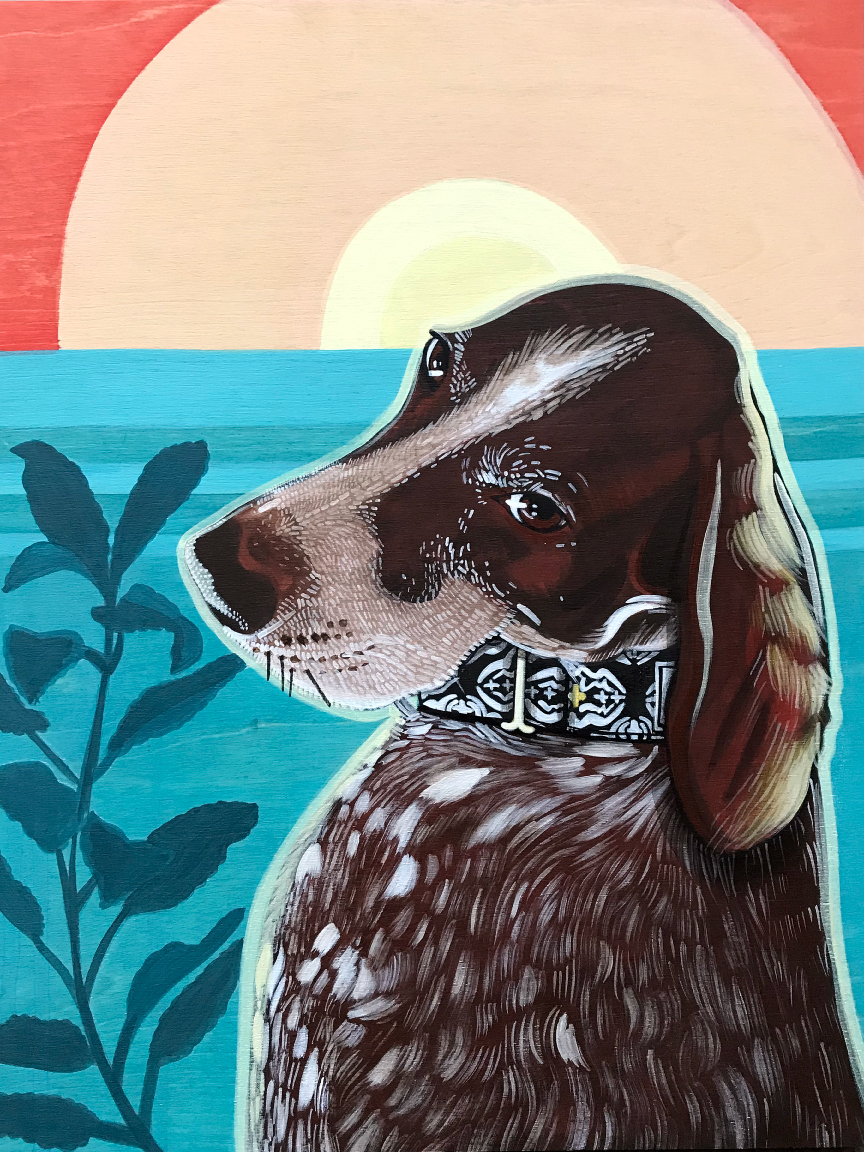 Pet Portraits