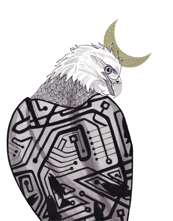 Bald Eagle