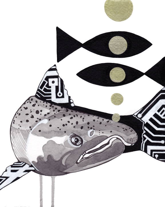Salmon