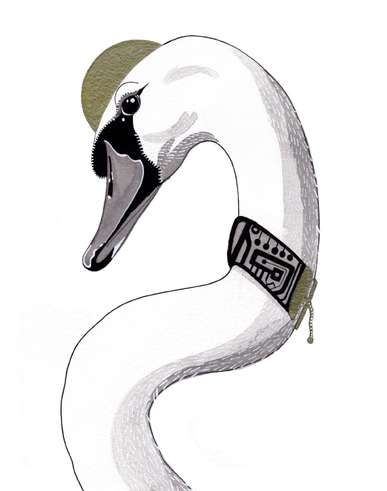Swan