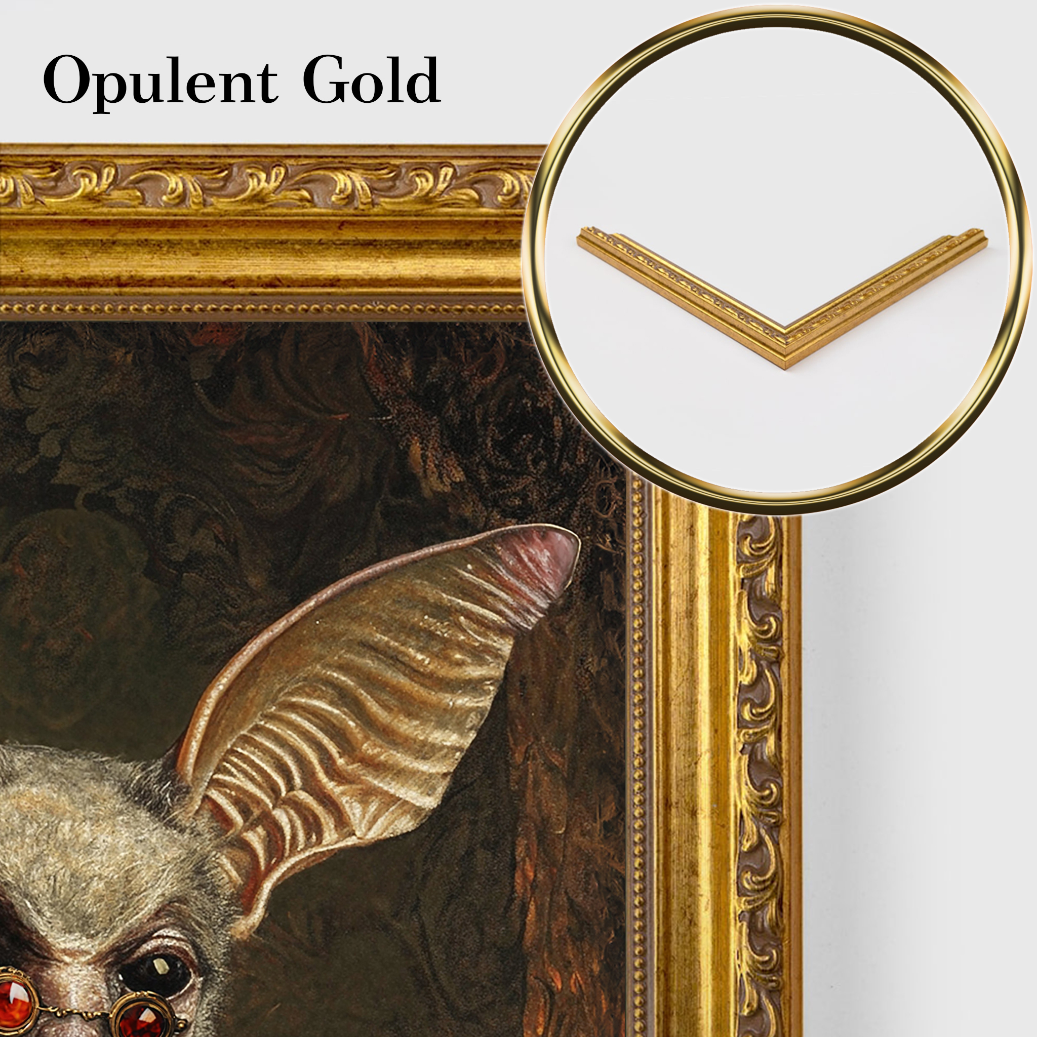 The Gilded Count