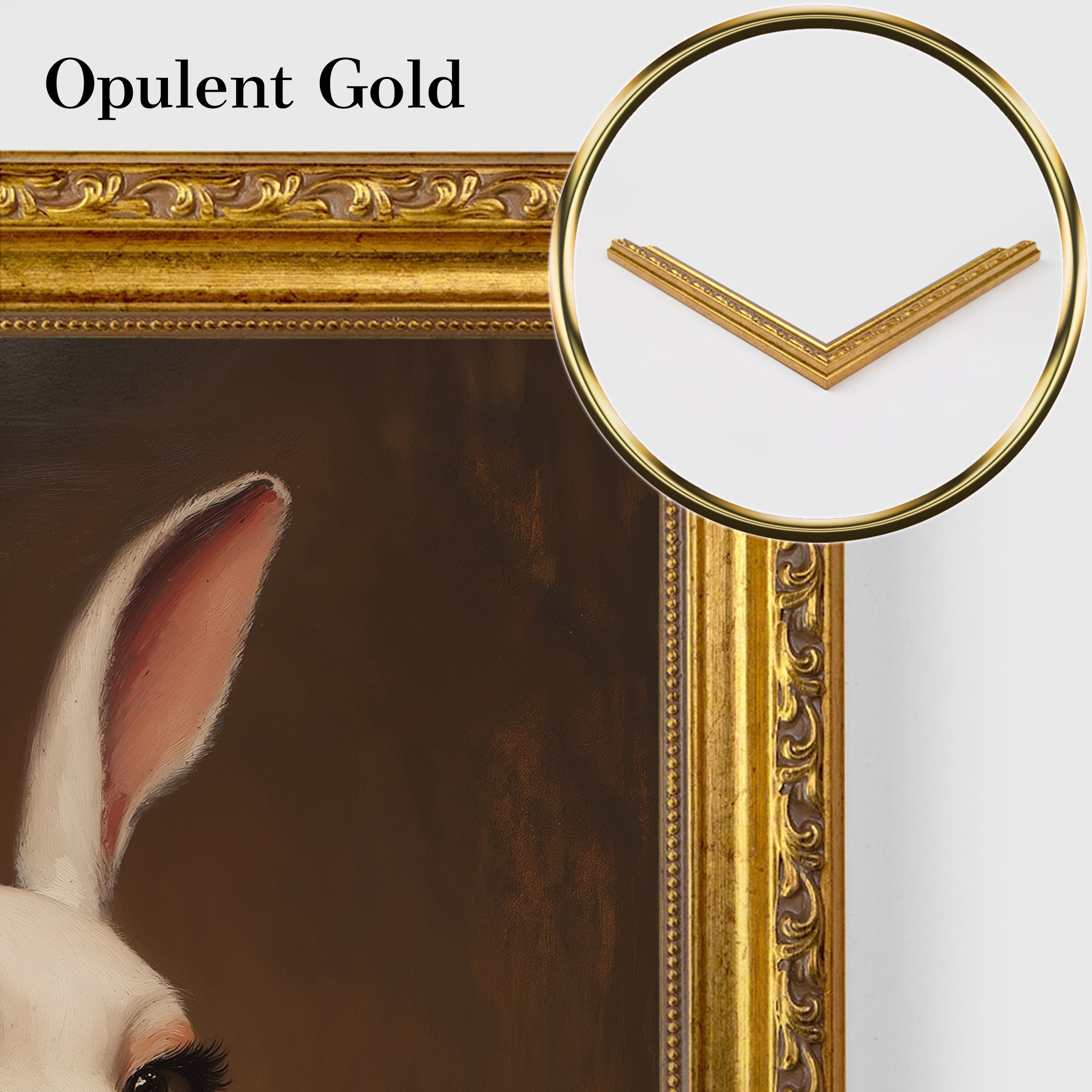 The Red Rabbit