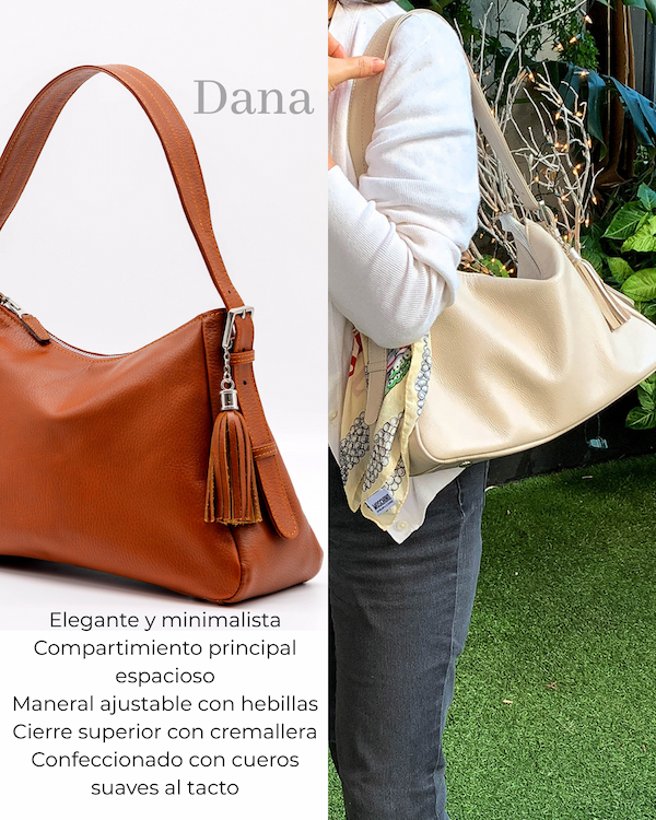 Bolso Dana