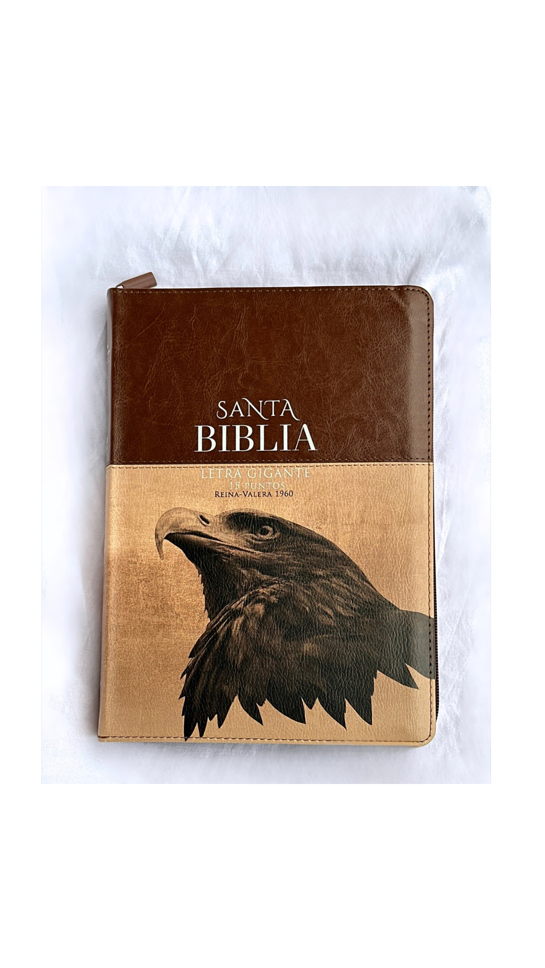 Biblia Para Hombre