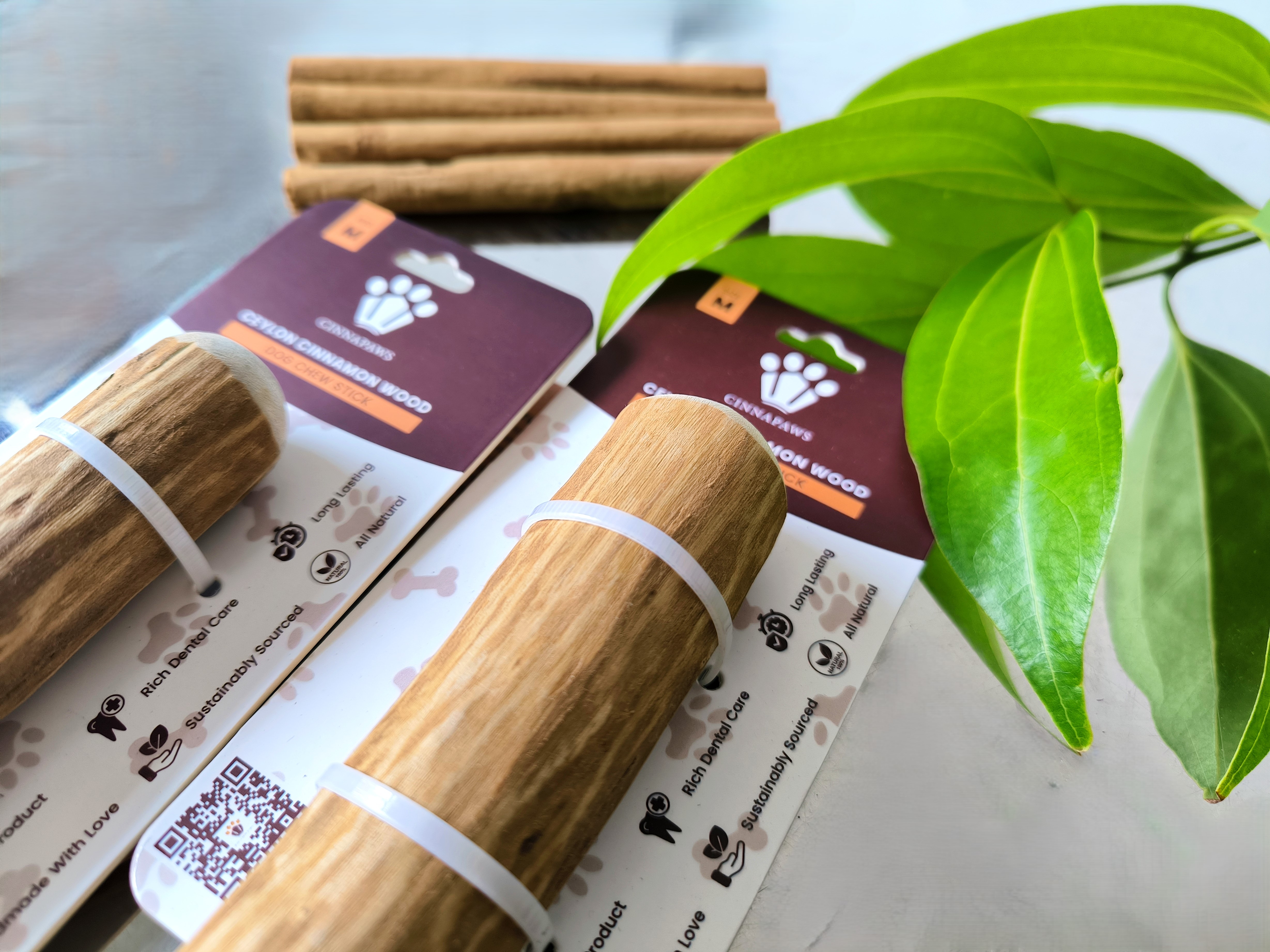 Cinnamon Wood Dog Chew Stick Toy - Medium (Double Pack)