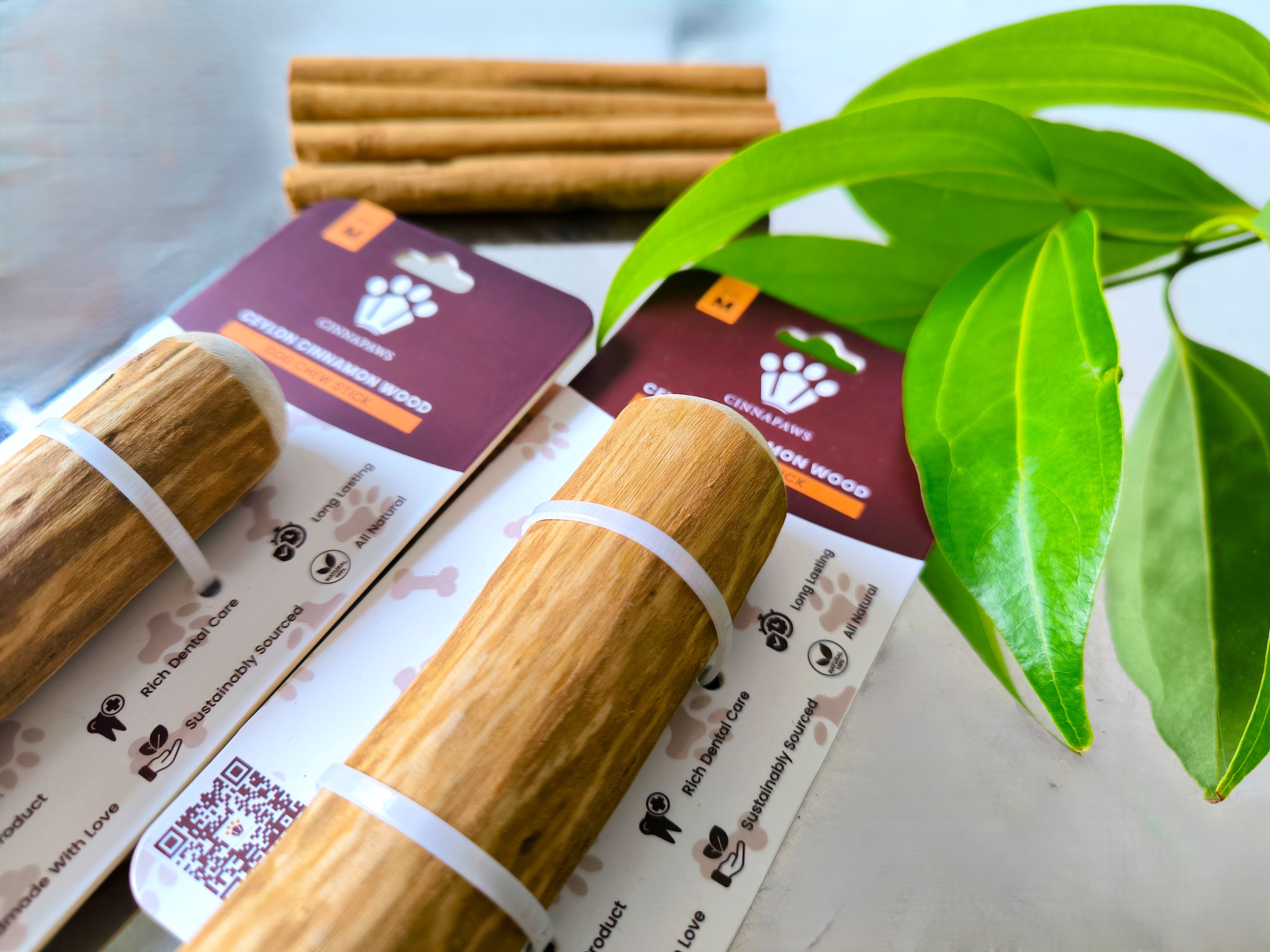 Cinnamon Wood Dog Chew Stick Toy - Medium / Large (Double Pack)