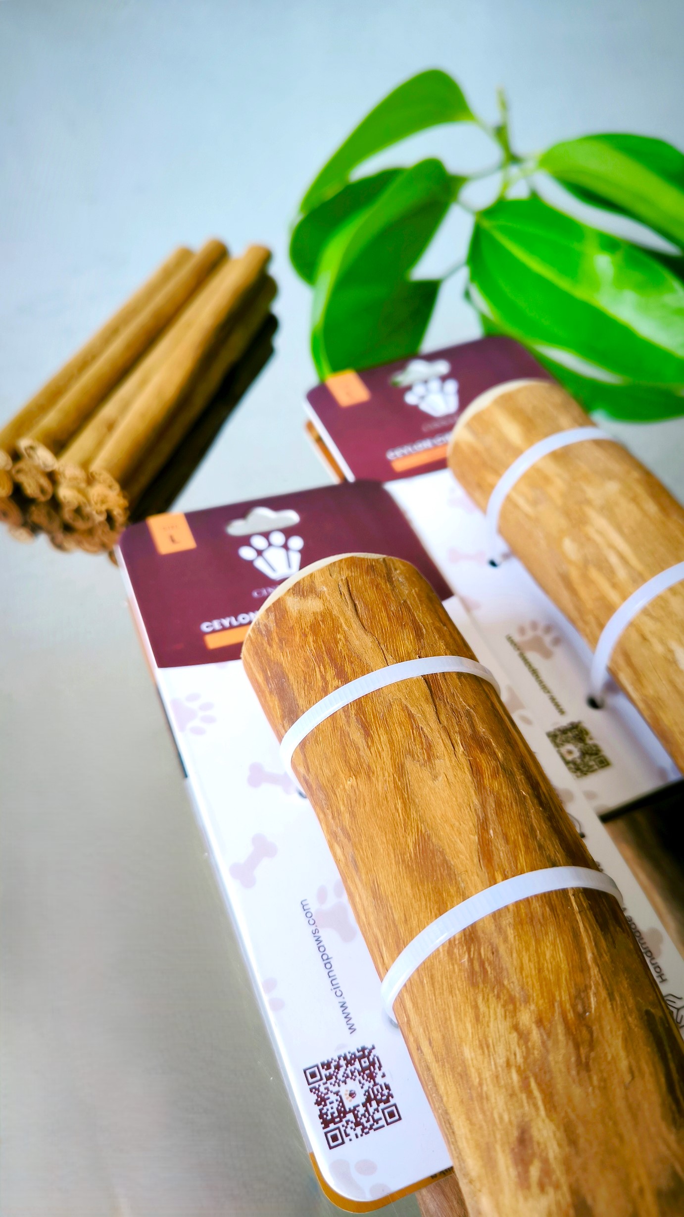 Cinnamon Wood Dog Chew Stick Toy - Large (Double Pack)