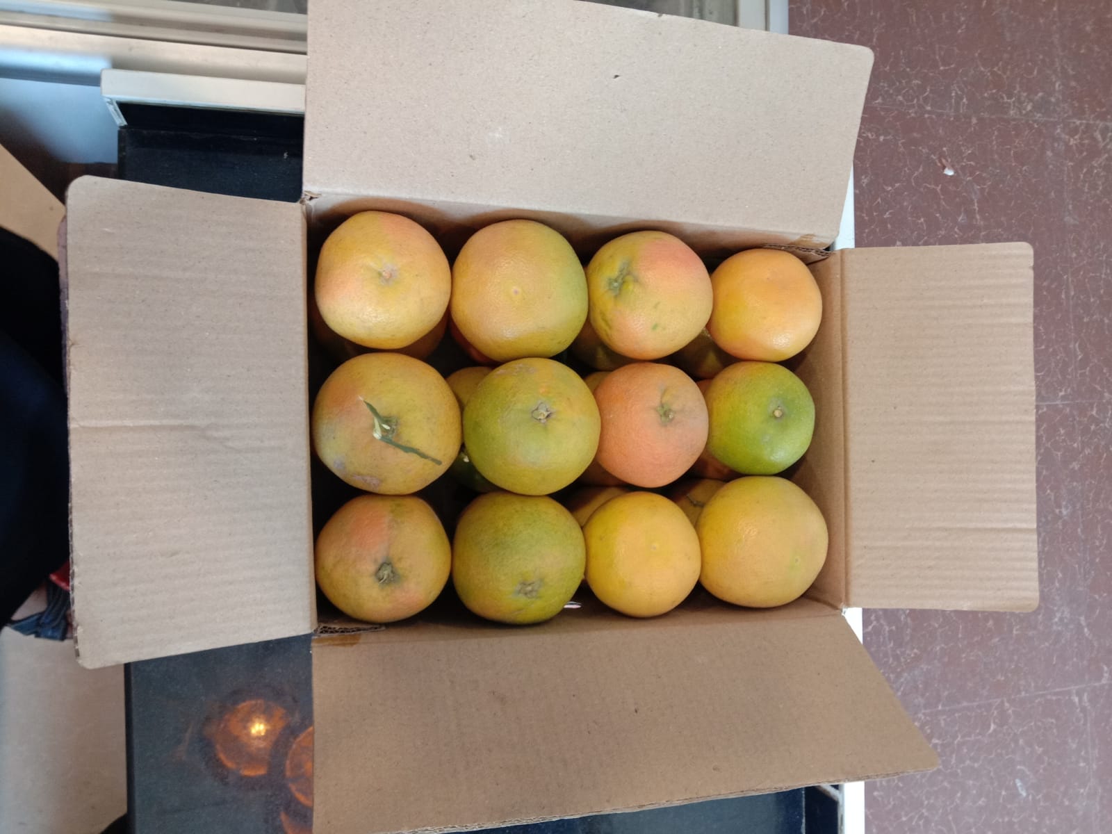 Grape Fruit (Seasonal)