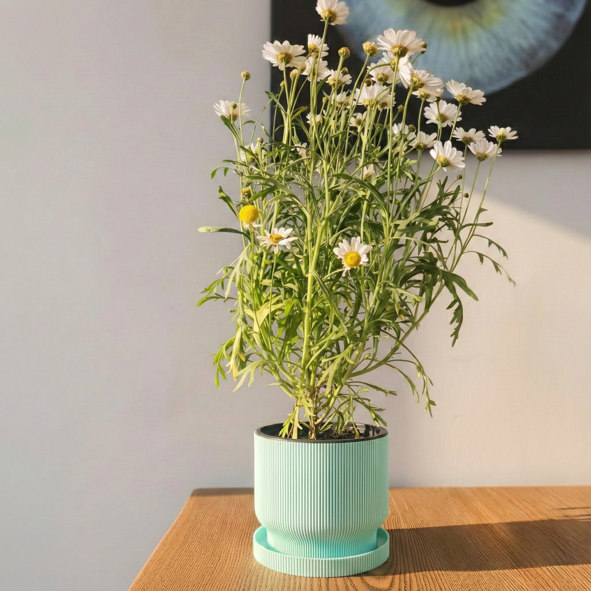 Modern Dikey Çizgili Tasarım Saksı ve Tabak Seti