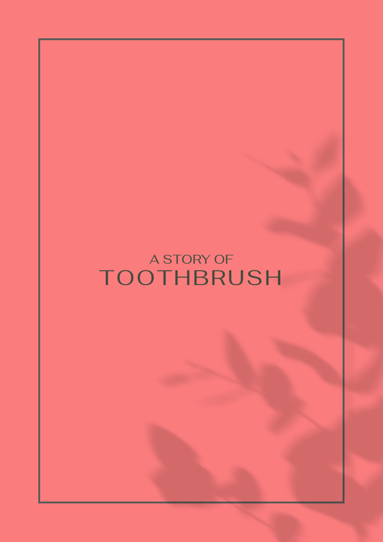 A Story of Toothbrush