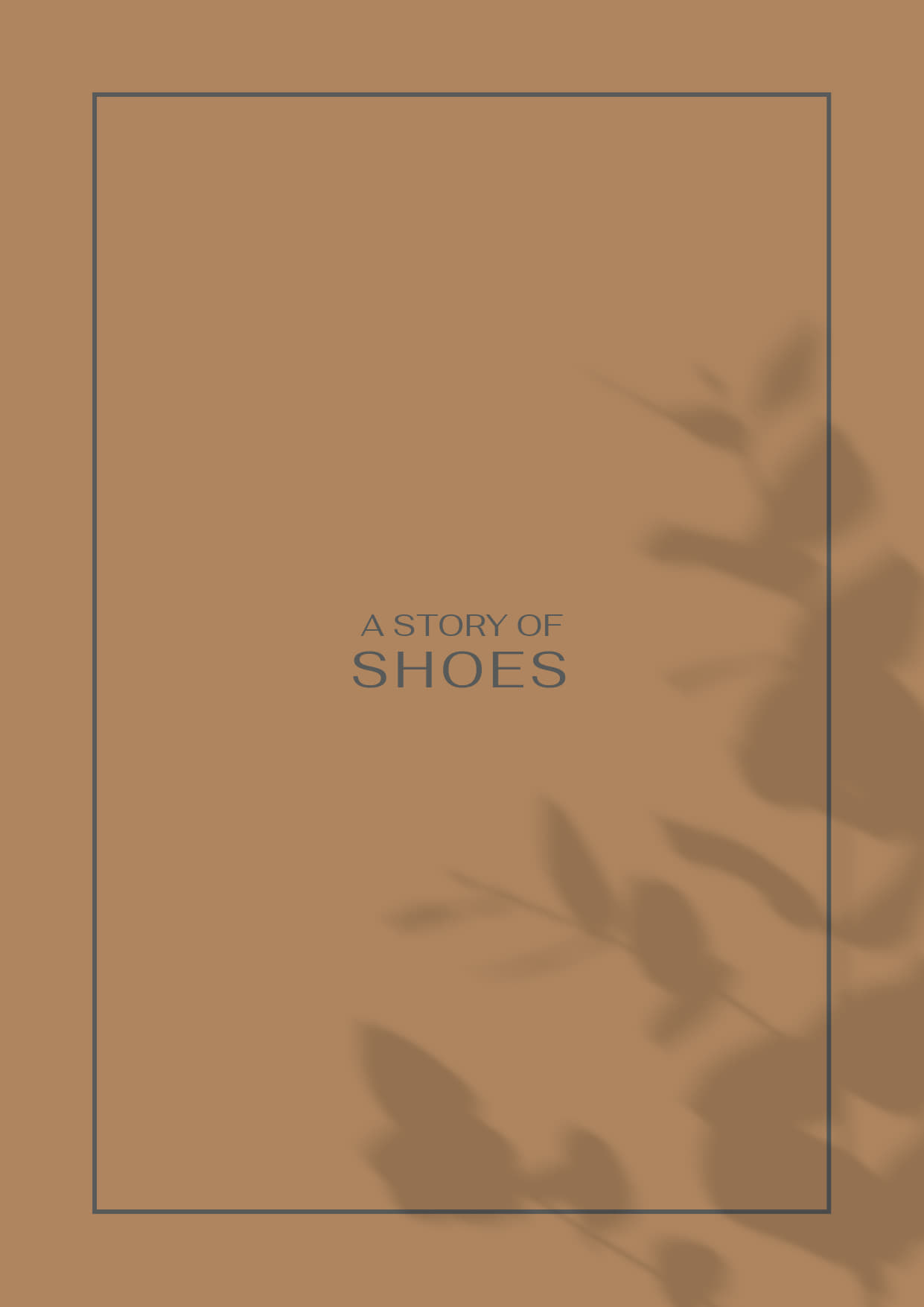 A Story of Shoes