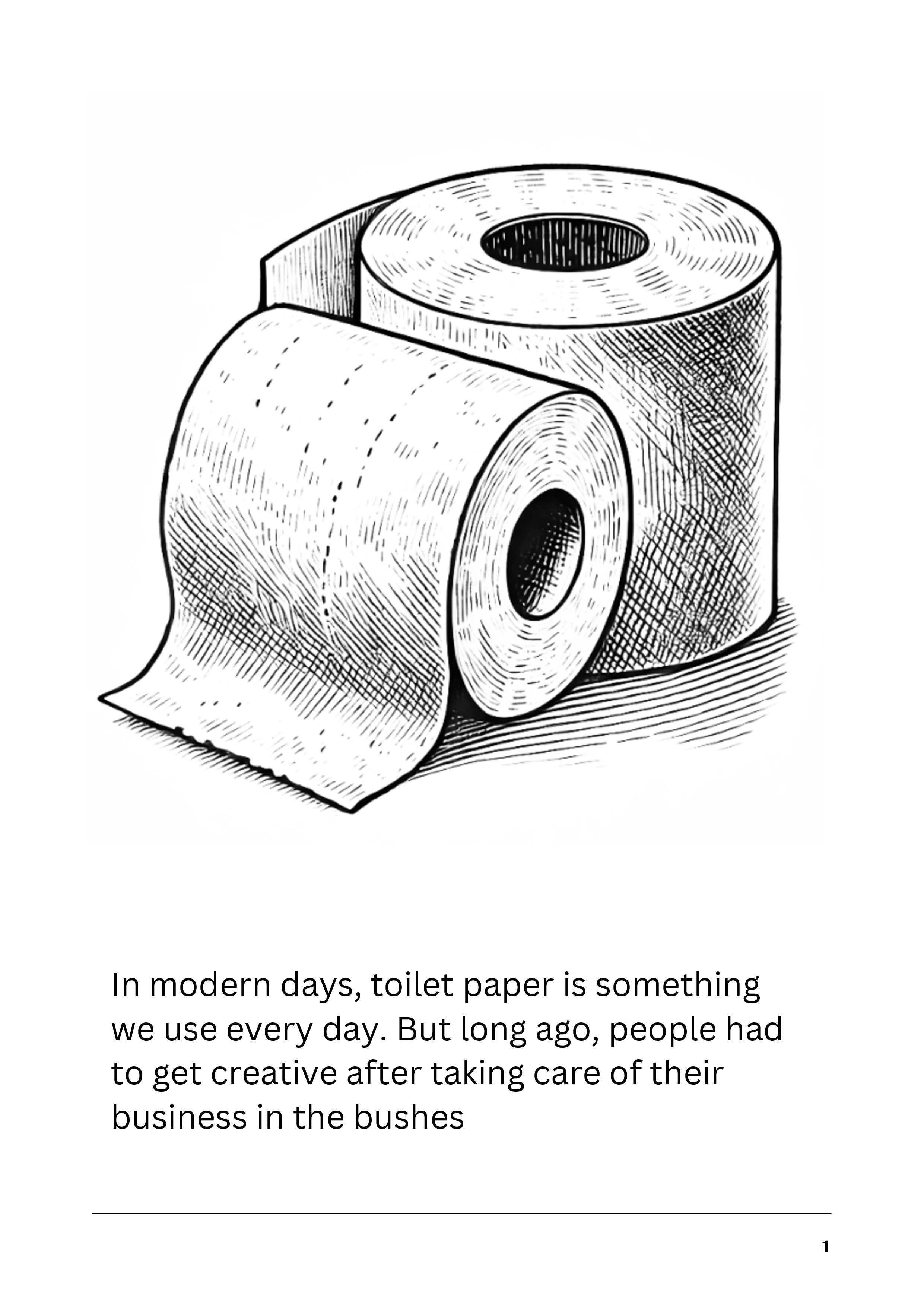 A Story of Toilet Paper