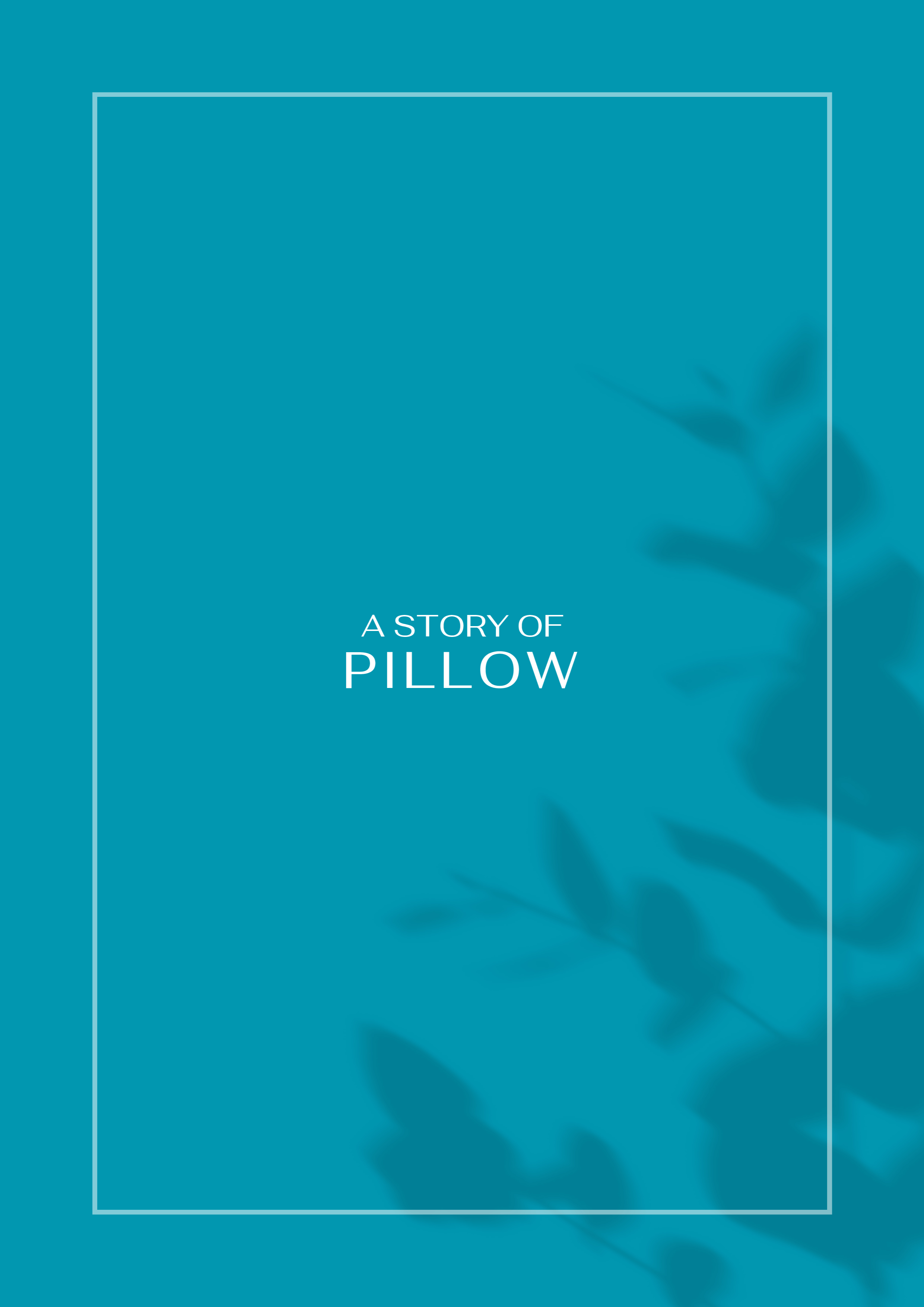 A Story of Pillow