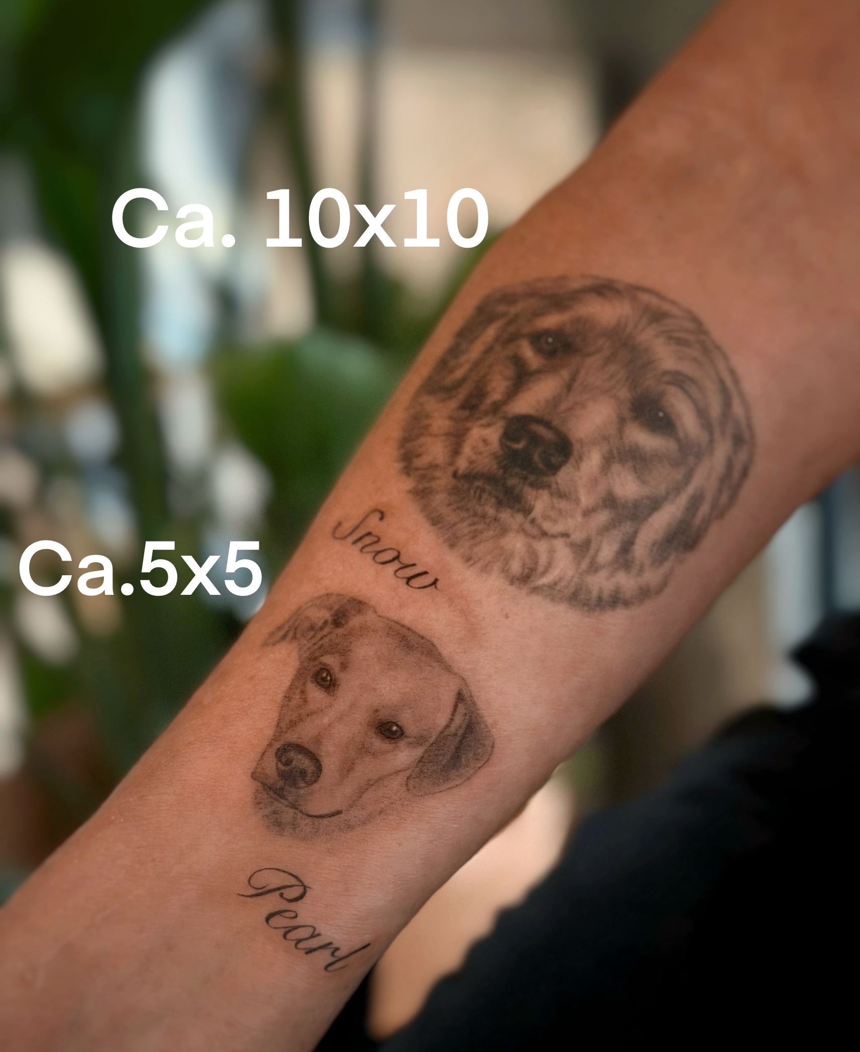 Klein–mittelgroßes Tattoo