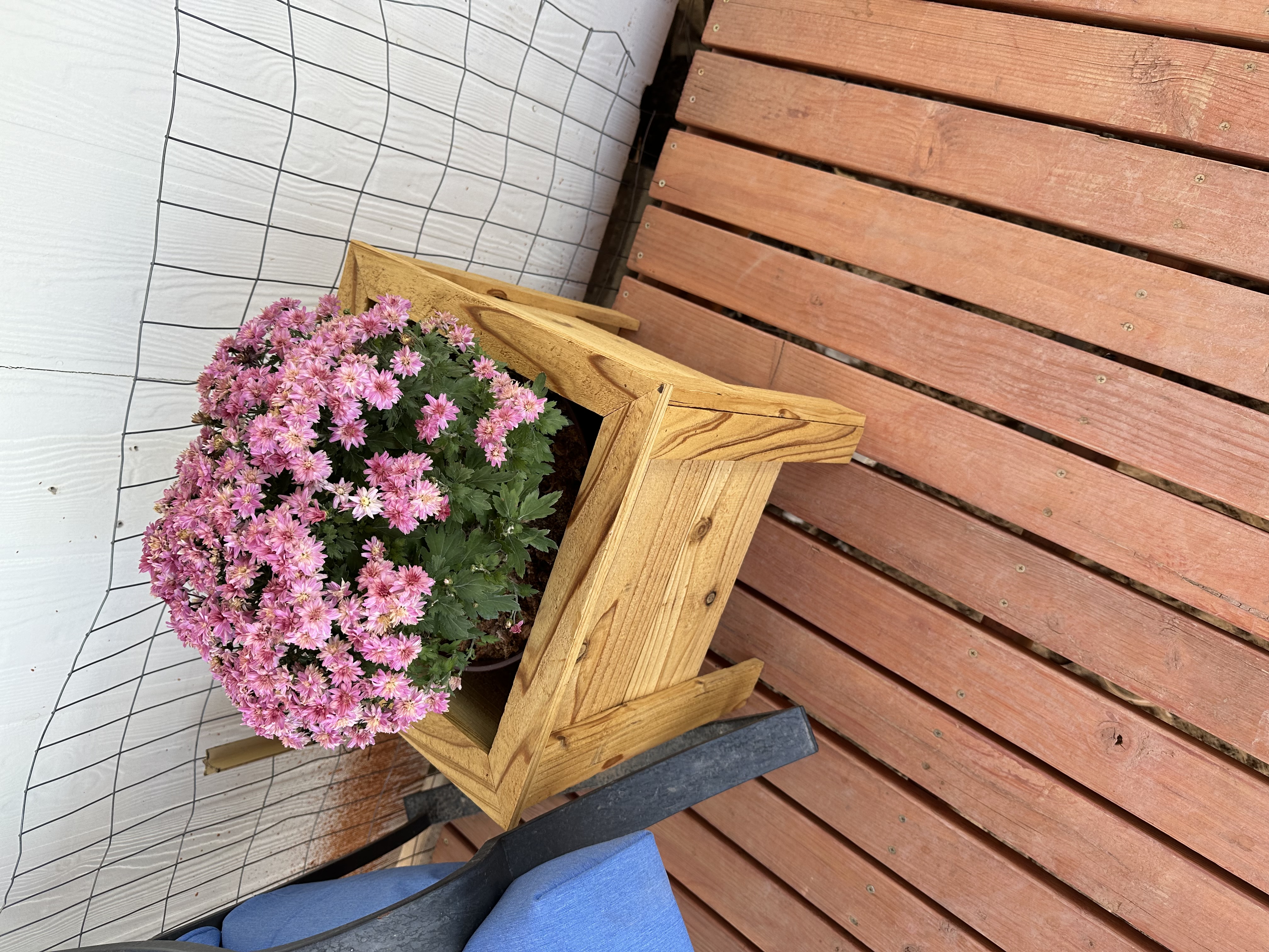 Homemade 16" Raised Cedar Planter