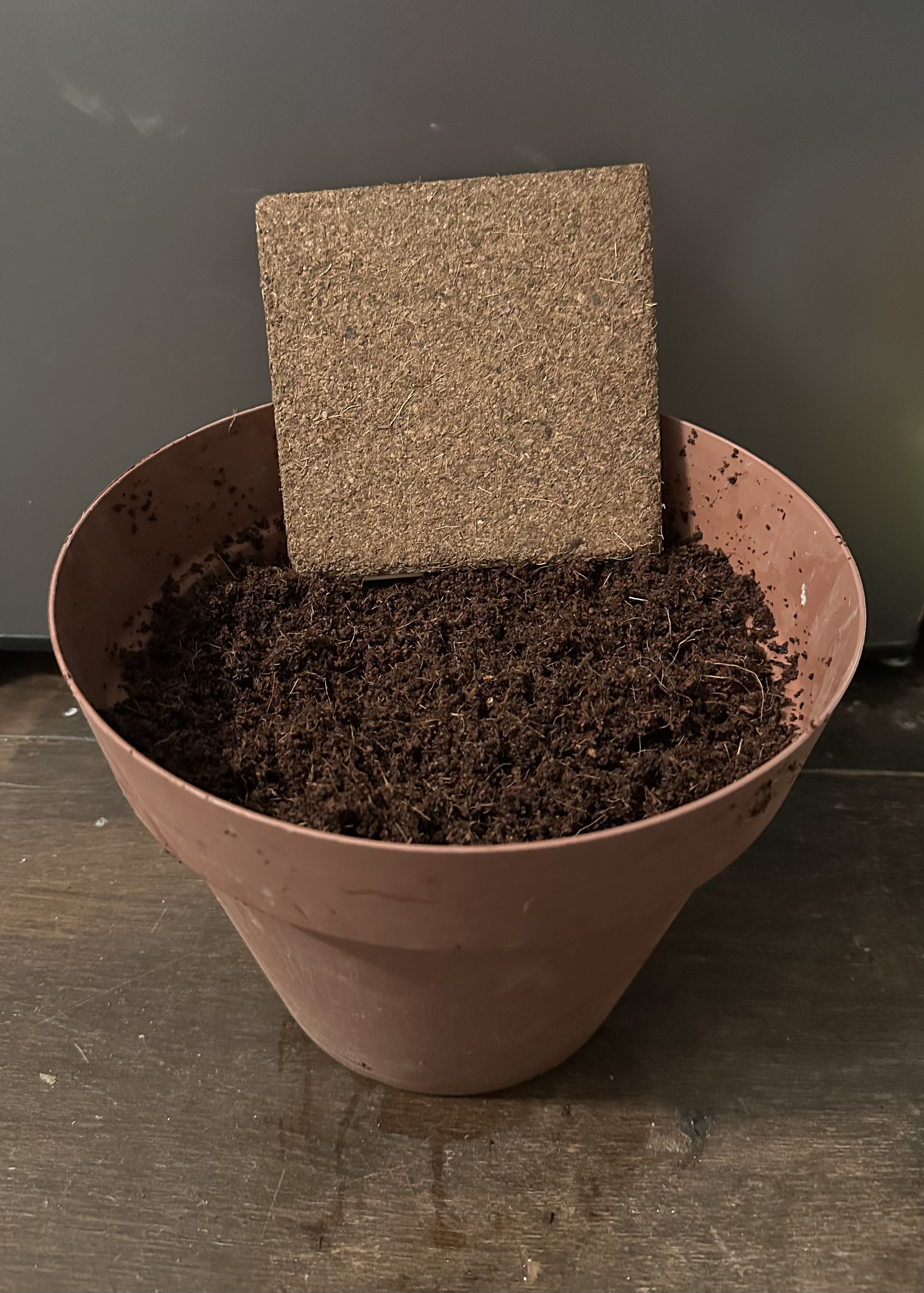 1 Gallon Coconut Coir Soil Blocks