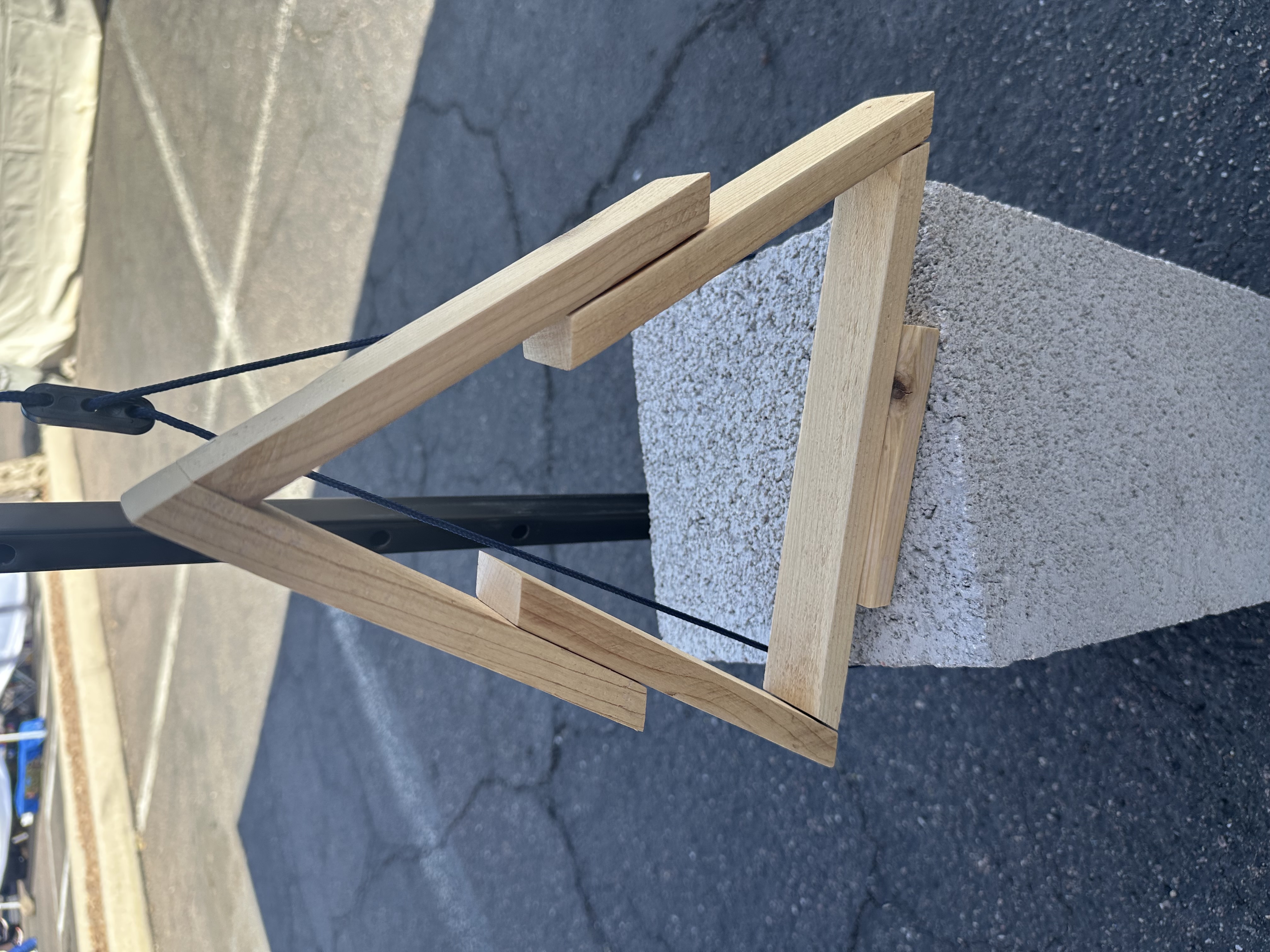 Cedar Tree Tabletop Decor