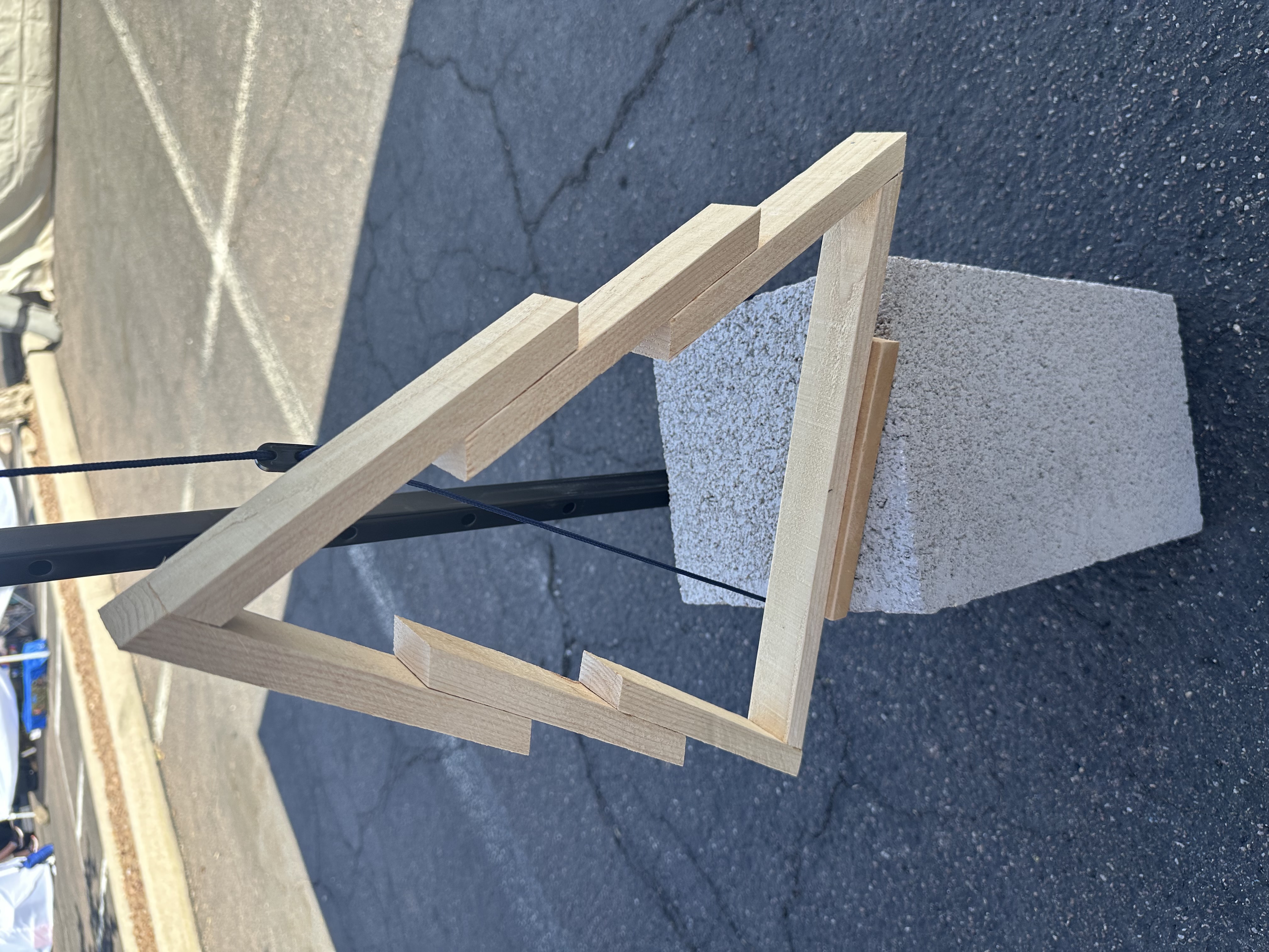 Cedar Tree Tabletop Decor