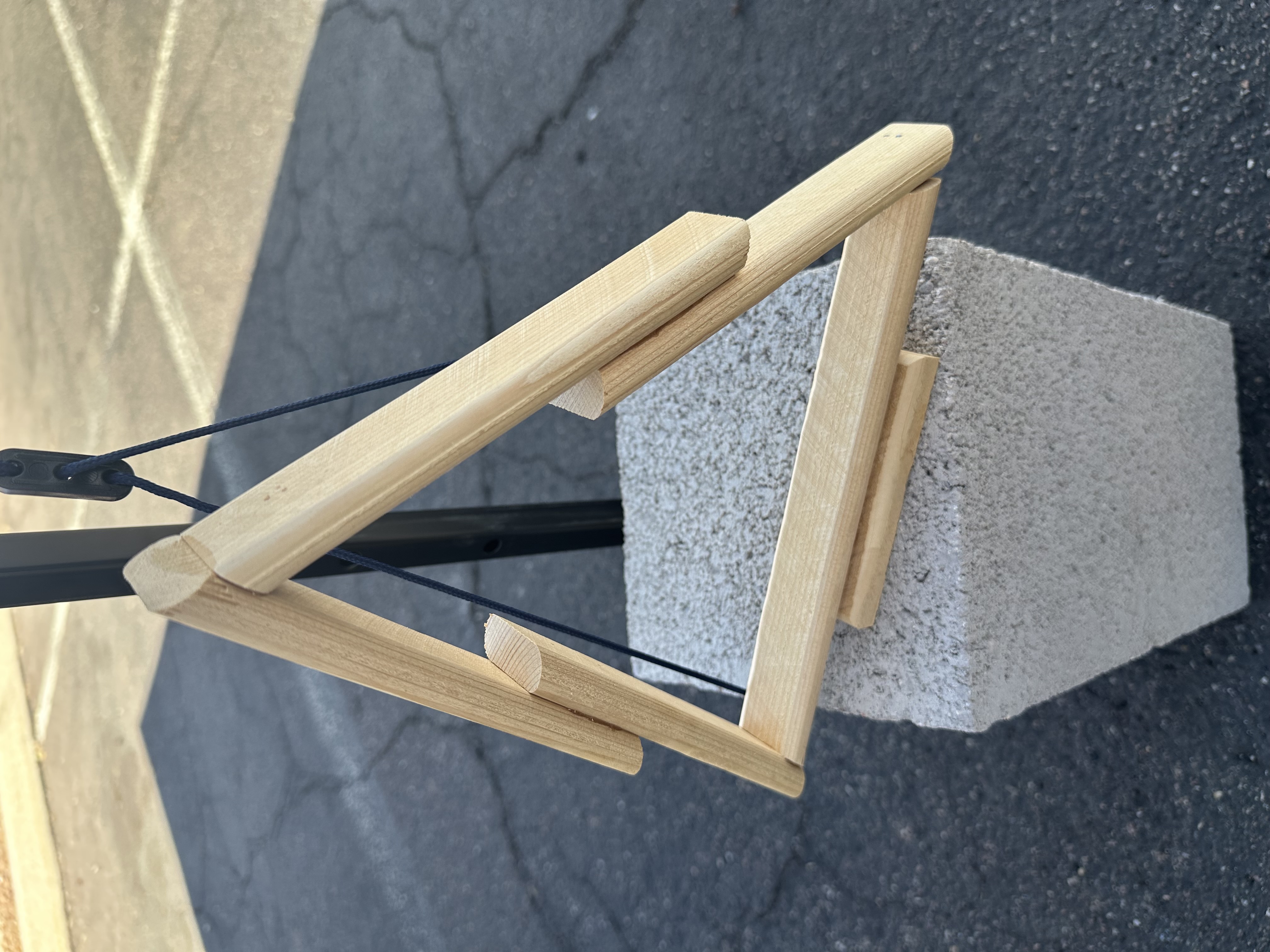 Cedar Tree Tabletop Decor