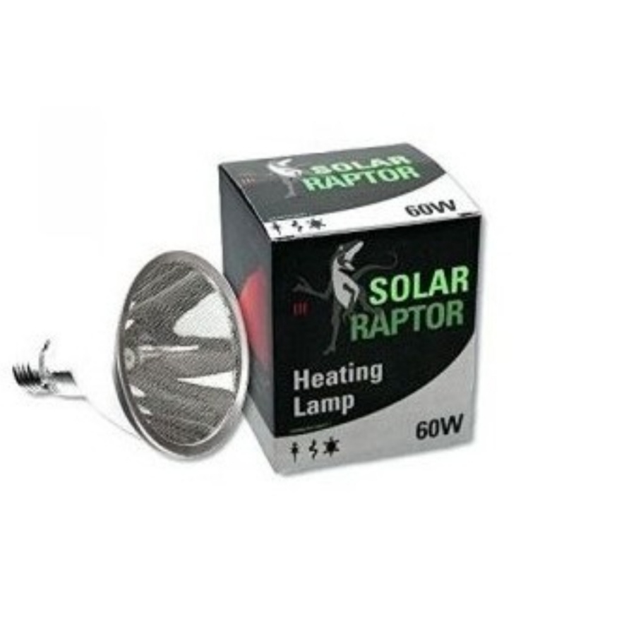 Ampoule chauffante Solar Raptor Heating lamp 60w