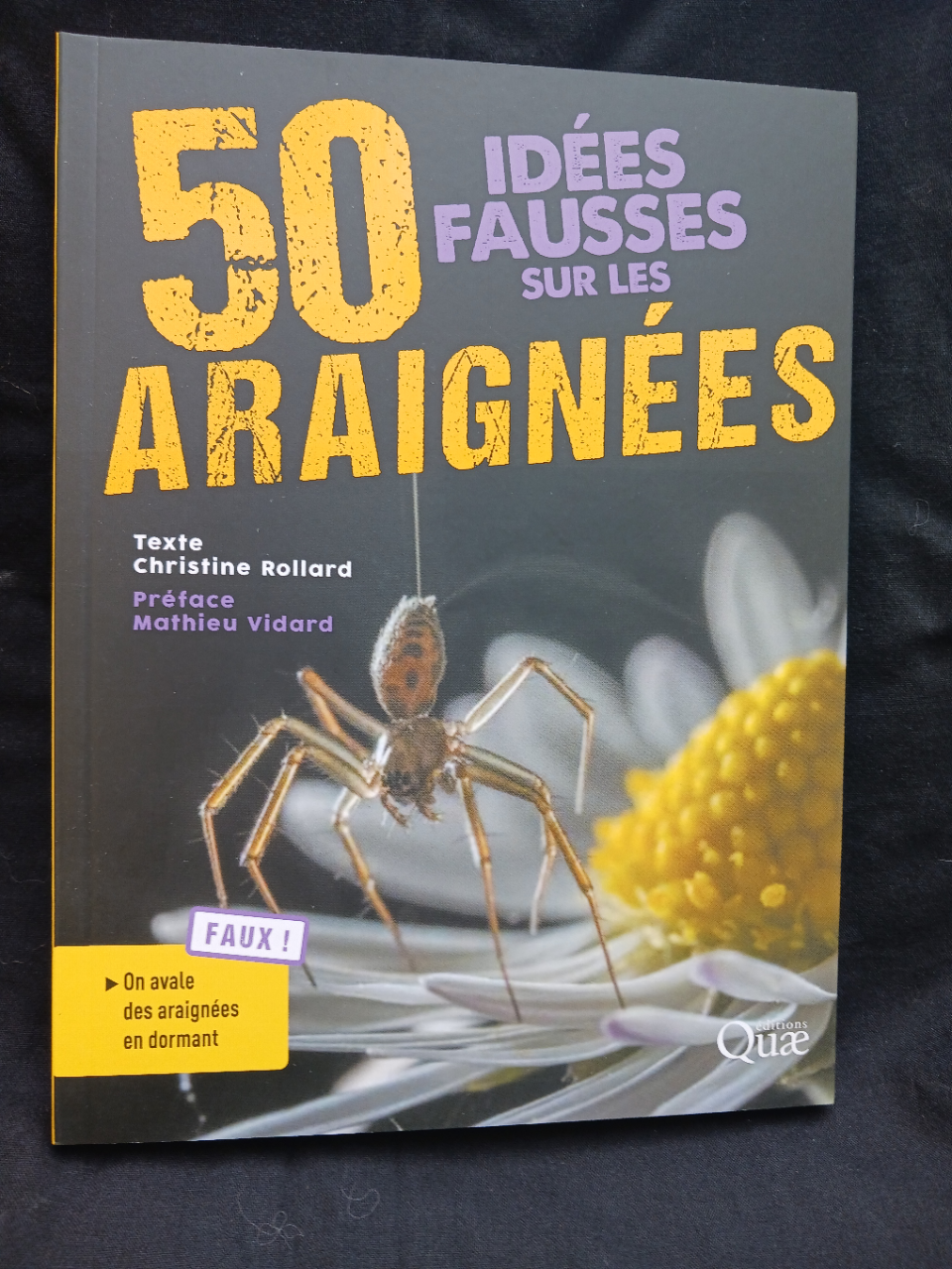 50 idées fausses sur les araignées