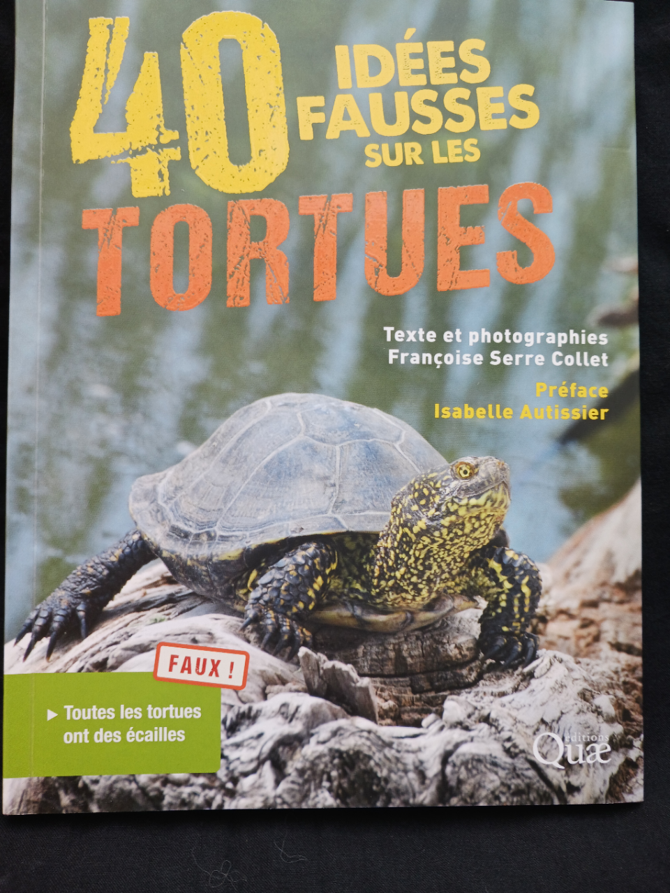 40 idées fausses sur les tortues