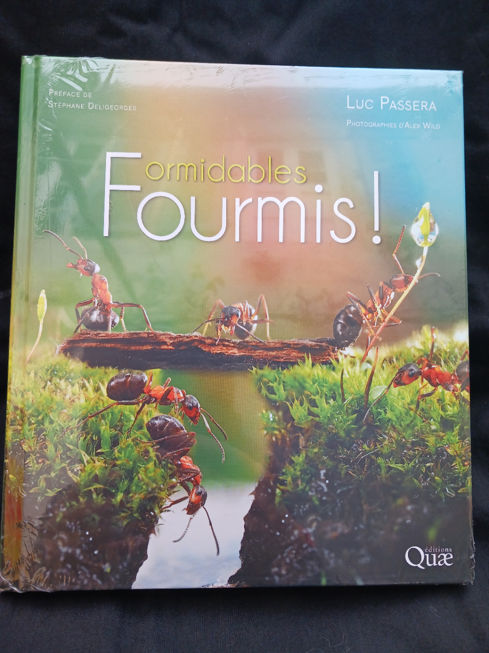 Formidables fourmis!