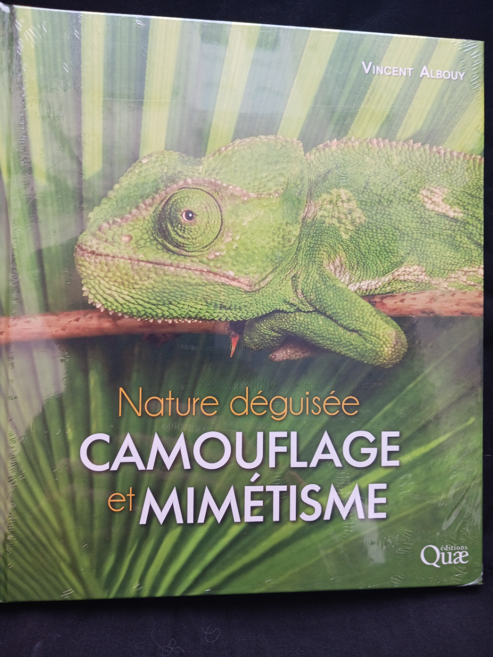 Camouflage et mimétisme - nature déguisée