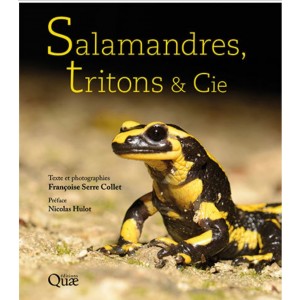 Salamandres, tritons & Cie