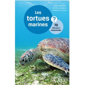Les tortues marines