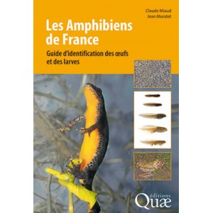 Les amphibiens de France